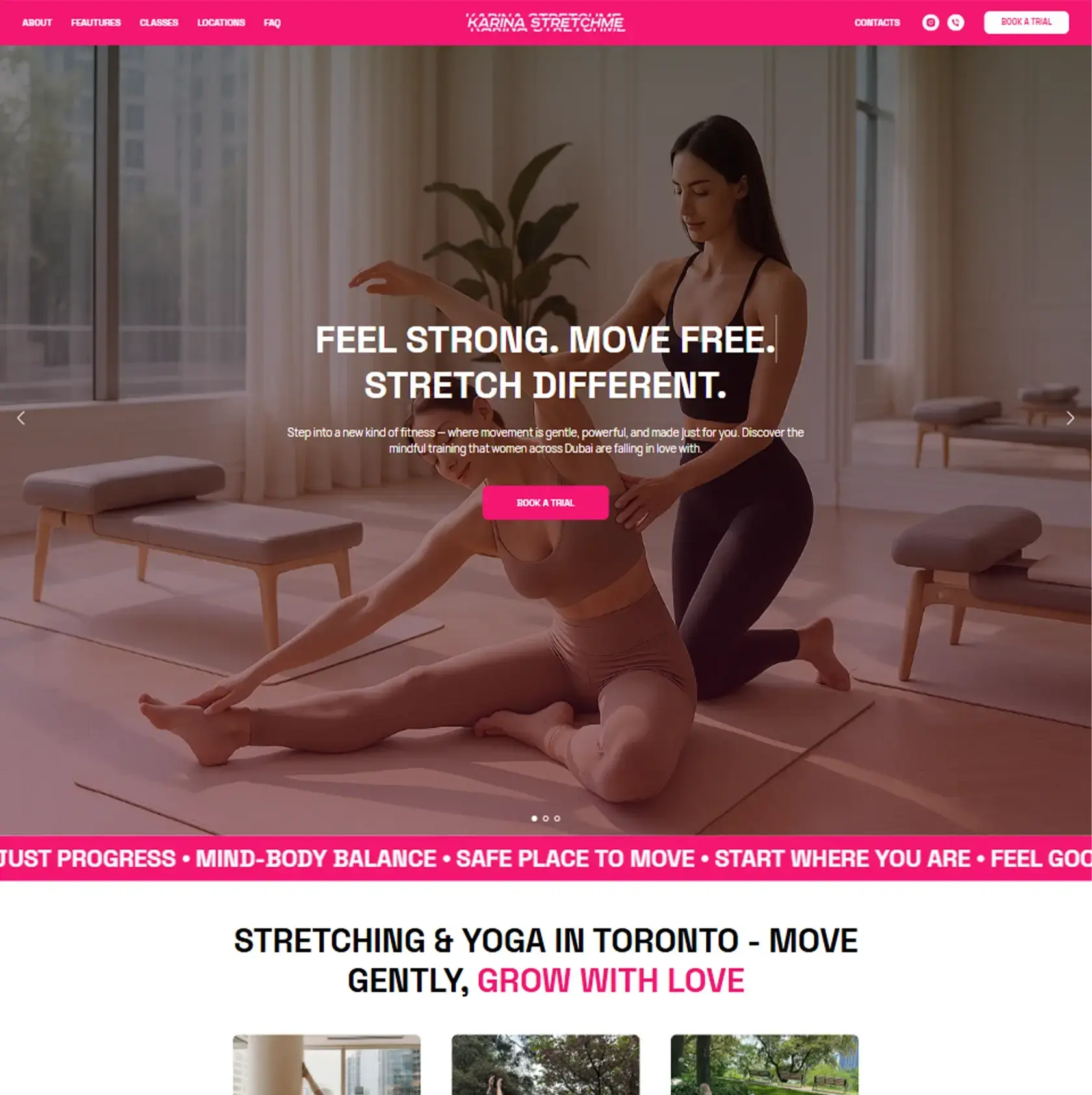 Karinastretchme.ca first screen - stretching studio website in Toronto by Thrive Solutions