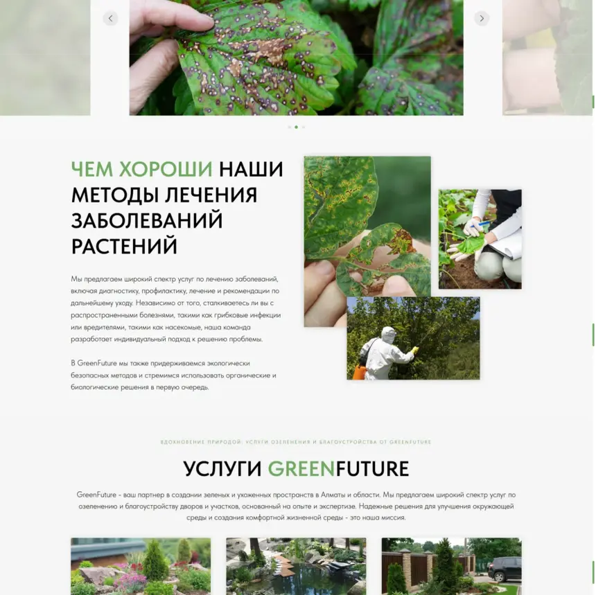 GreenFuture services section