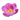 пионы купить