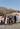 Students at the Hollywood sign