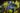 teamLab Borderless