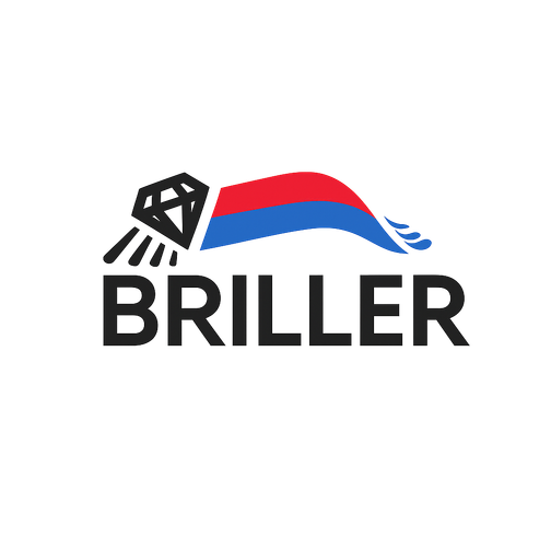Briller Paint