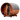 Баня бочка