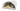 zernohraniliche